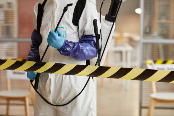 Professional Sewage Cleanup technician working in Stockholm, NJ